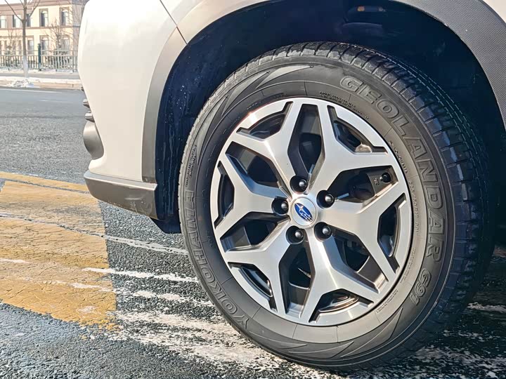 Subaru Forester 2022 2022款 2.0i AWD豪华版EyeSight