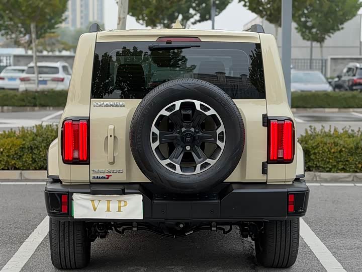 Tank 300 Hybrid 2025 2025款 Hi4-T 37.1kWh