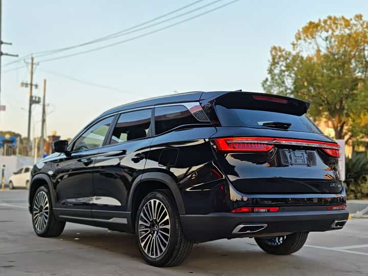 Jetour Shanhai L9 2024 2024款 1.5TD 2DHT Pro 7座