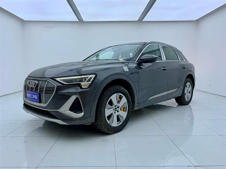 Audi e-tron 2021 2021款 50 quattro 豪华型