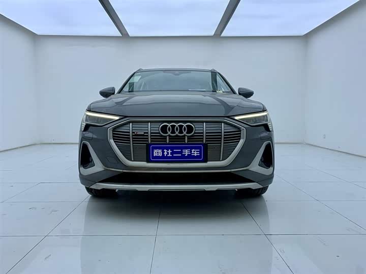 Audi e-tron 2021 2021款 50 quattro 豪华型