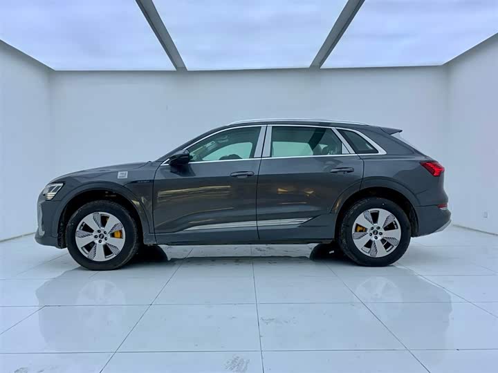 Audi e-tron 2021 2021款 50 quattro 豪华型