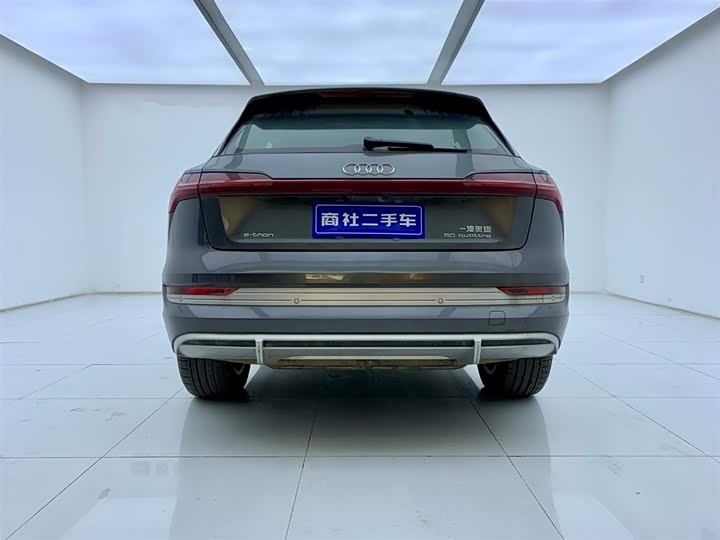Audi e-tron 2021 2021款 50 quattro 豪华型