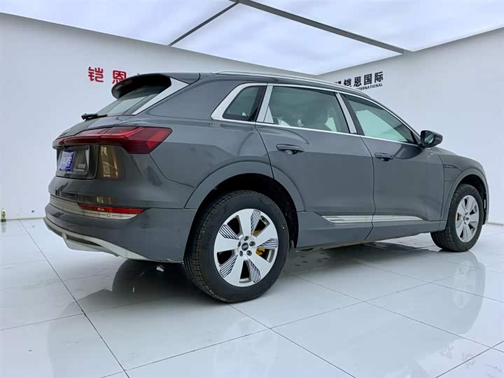 Audi e-tron 2021 2021款 50 quattro 豪华型
