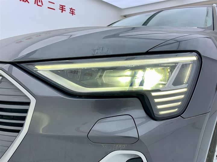 Audi e-tron 2021 2021款 50 quattro 豪华型