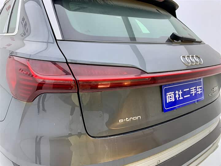 Audi e-tron 2021 2021款 50 quattro 豪华型