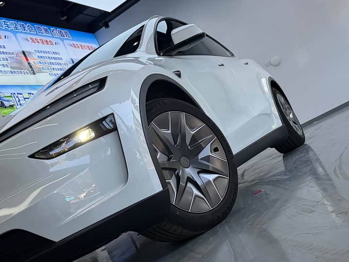 Tesla Model Y 2025 2025款 长续航全轮驱动版
