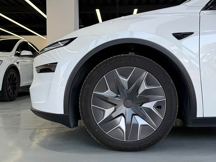 Tesla Model Y 2025 2025款 长续航全轮驱动版