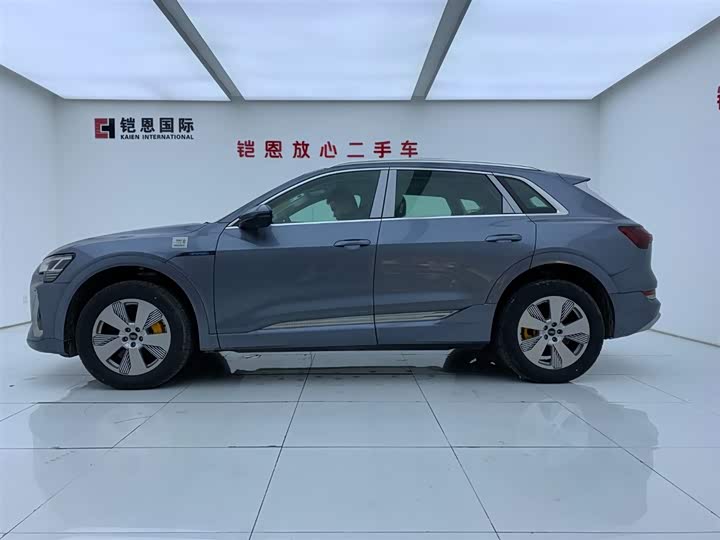Audi e-tron 2021 2021款 50 quattro 豪华型
