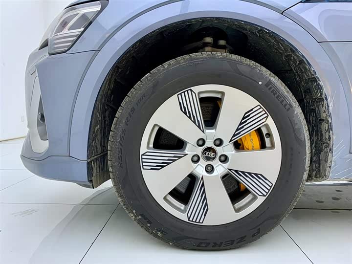 Audi e-tron 2021 2021款 50 quattro 豪华型