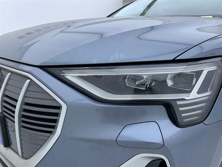 Audi e-tron 2021 2021款 50 quattro 豪华型