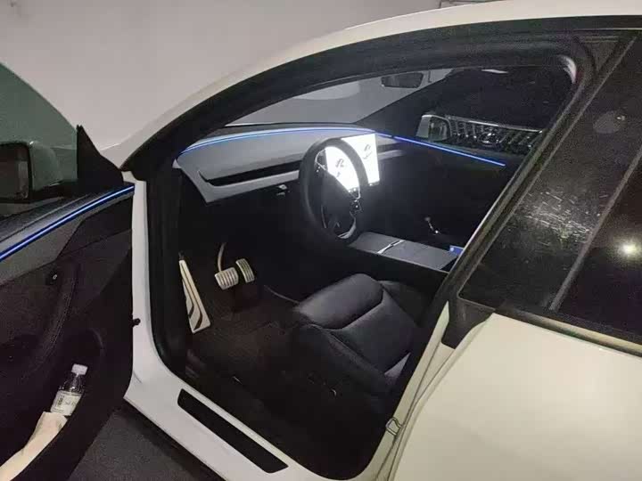 Tesla Model Y 2025 2025款 长续航全轮驱动版