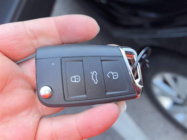 Volkswagen Passat Hybrid 2025 2025款 430PHEV 混动商务版