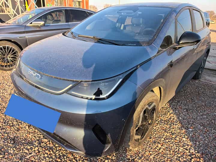 BYD Dolphin 2025 2025款 智驾版 420km 自由版