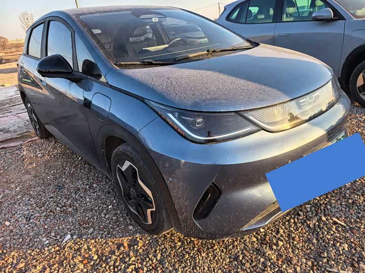 BYD Dolphin 2025 2025款 智驾版 420km 自由版