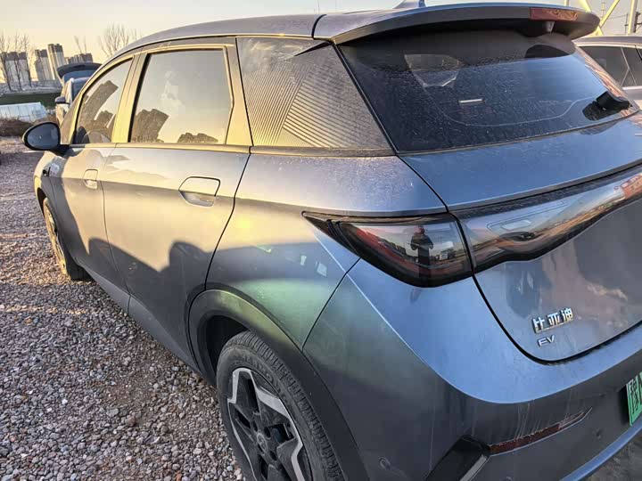 BYD Dolphin 2025 2025款 智驾版 420km 自由版