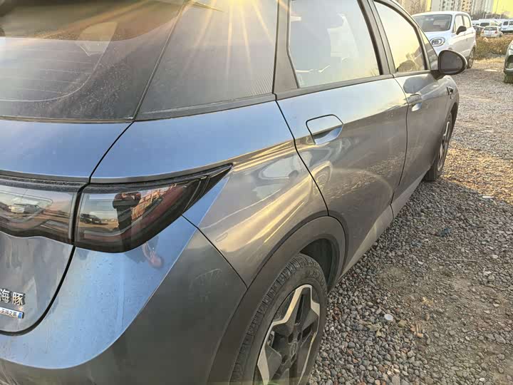 BYD Dolphin 2025 2025款 智驾版 420km 自由版