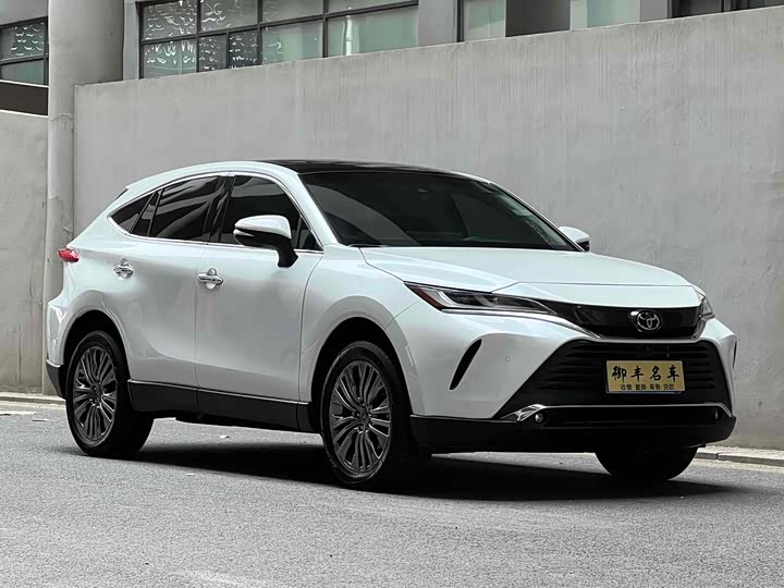Toyota Harrier 2023 2023款 2.0L CVT两驱尊享版