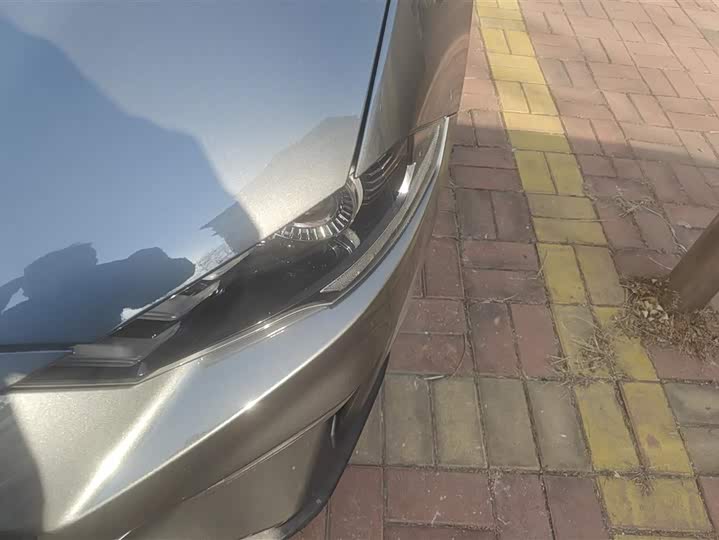 Ford Mustang 2021 2021款 2.3T EcoBoost