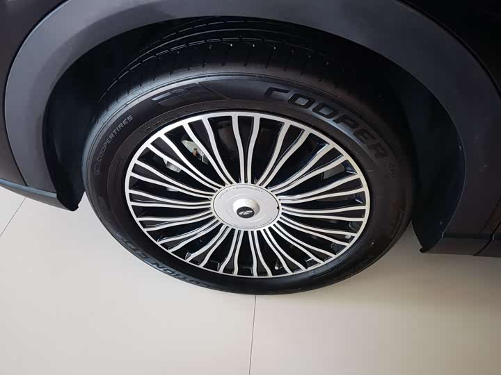 Chery Fulwin T9 2024 2024款 120 长续航版豪华型 5座 磷酸铁锂