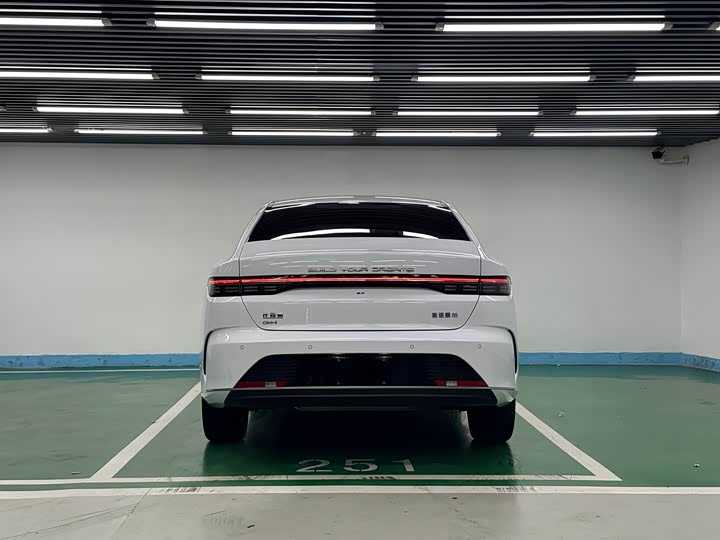 BYD Destroyer 05 2024 2024款 荣耀版 DM-i 120KM 旗舰型