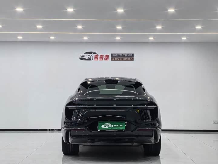 Lotus Eletre 2023 2023款 ELETRE R+