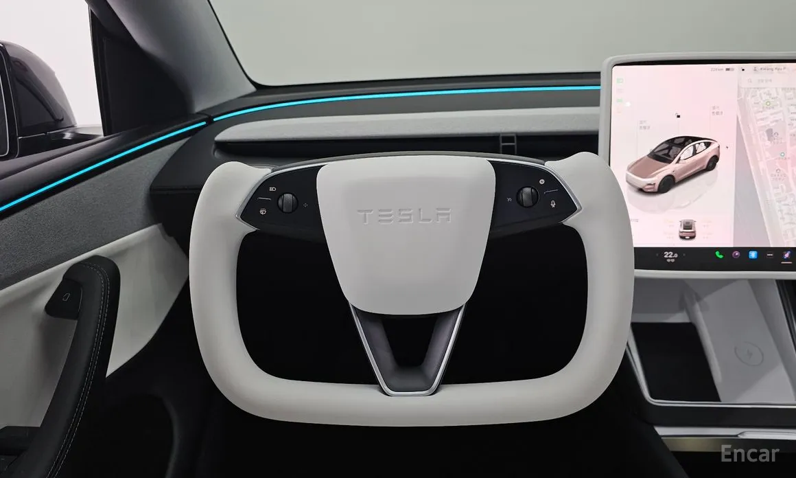 Tesla Model Y 2020 RWD