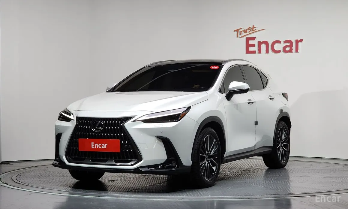 Lexus NX 2022 Luxury