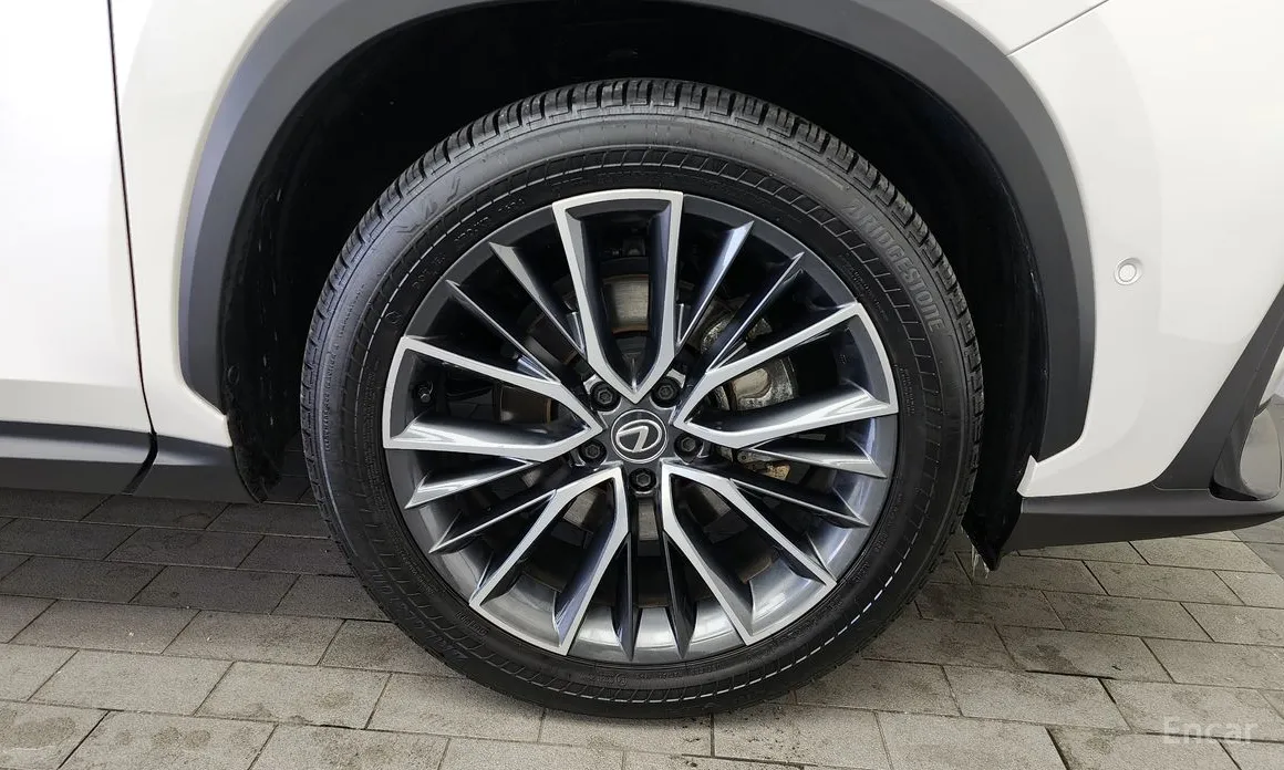 Lexus NX 2022 Luxury