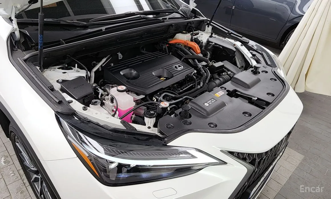 Lexus NX 2022 Luxury