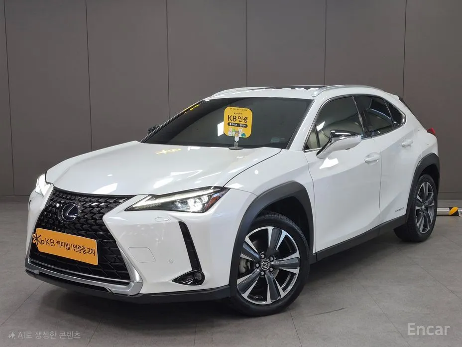 Lexus UX 2019 2.0 AWD