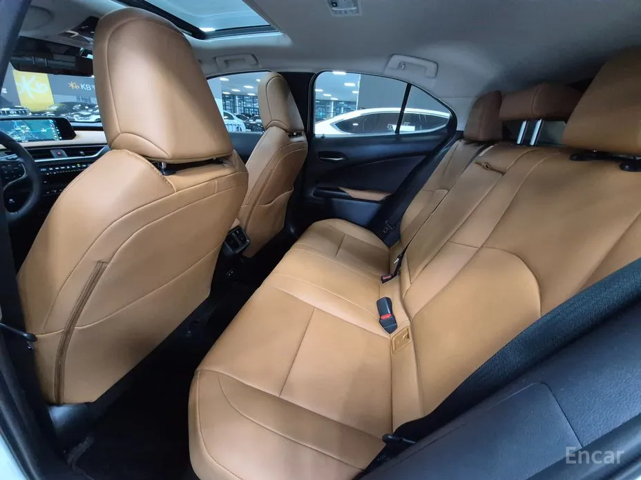 Lexus UX 2019 2.0 AWD