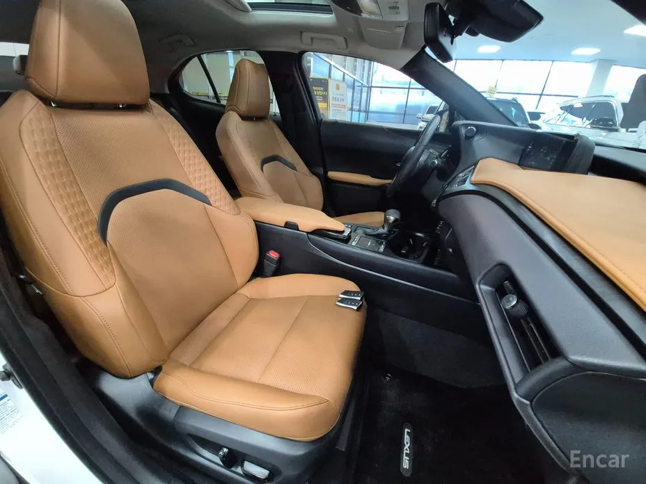 Lexus UX 2019 2.0 AWD