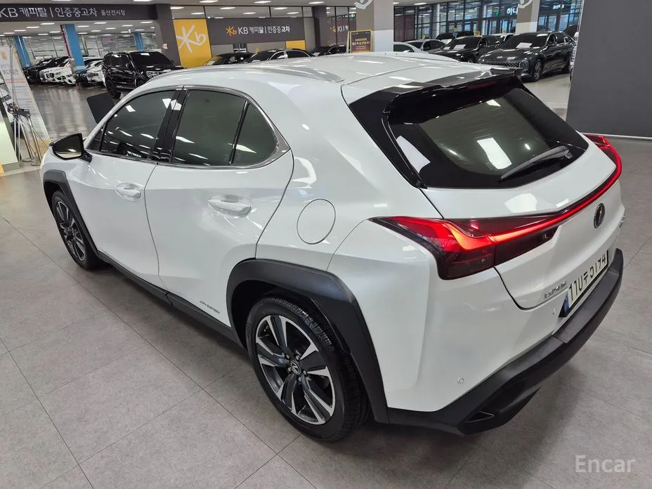 Lexus UX 2019 2.0 AWD
