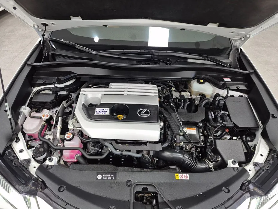 Lexus UX 2019 2.0 AWD