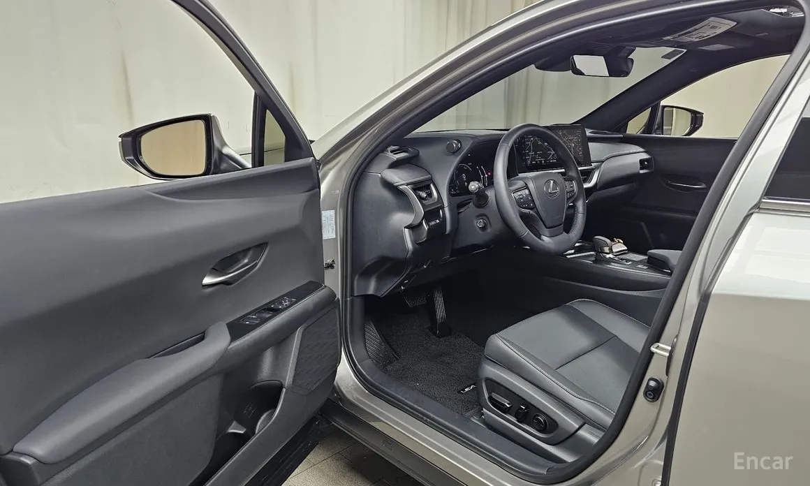 Lexus UX 2024 2.0 2WD