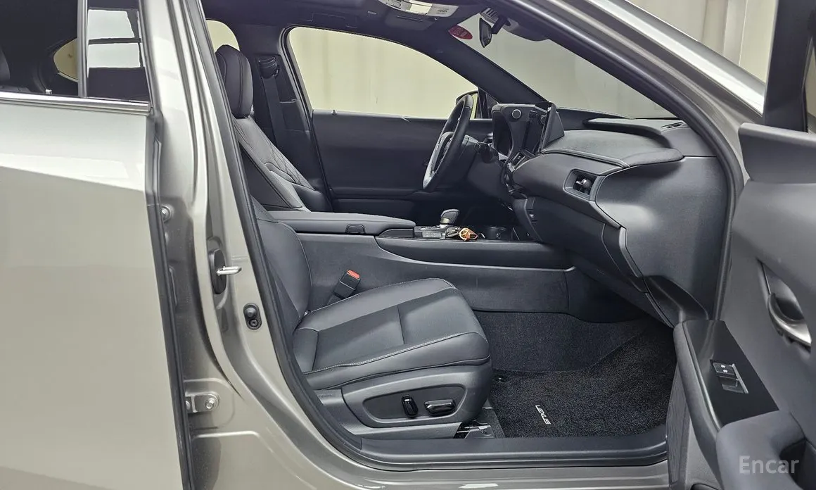 Lexus UX 2024 2.0 2WD