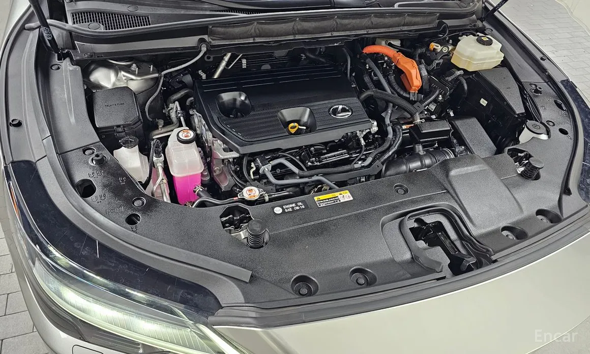 Lexus RX 2023 Luxury