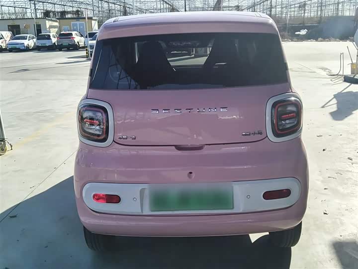 Bestune Pony 2025 2025款 222km 灵韵马