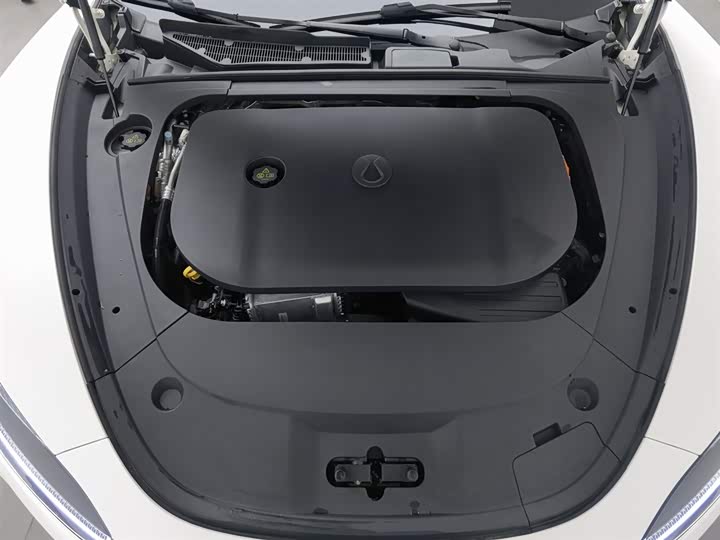 Denza Z9 2024 2024款 1100km 四驱Max版