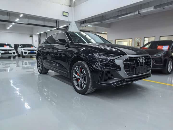 Audi Q8 2023 2023款 55 TFSI 豪华动感型