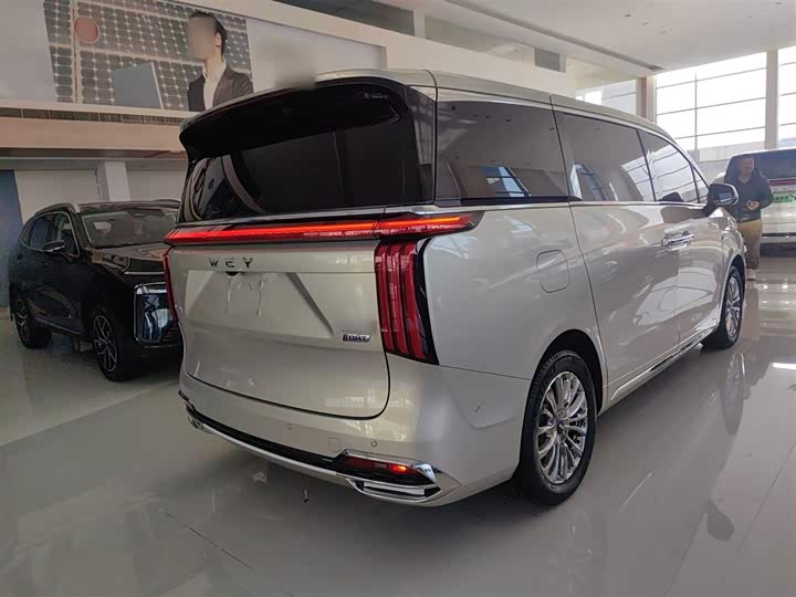 Wey Gaoshan 2023 2023款 四驱旗舰版