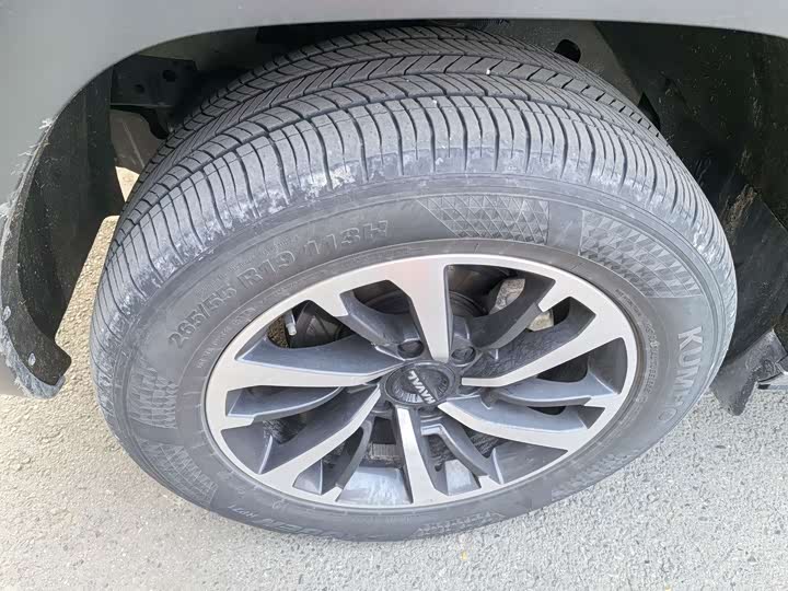 Haval H9 2024 2024款 2.0T 汽油四驱极境版