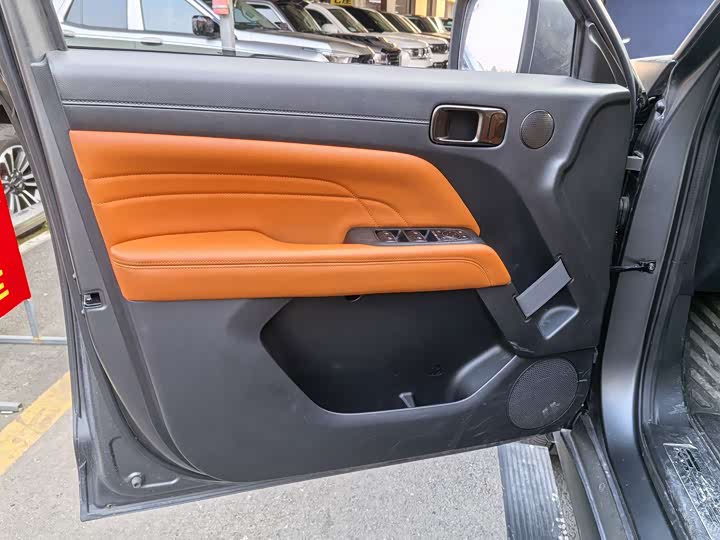 Haval H9 2024 2024款 2.0T 汽油四驱极境版