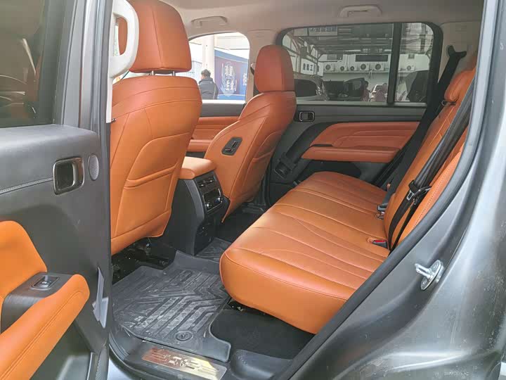 Haval H9 2024 2024款 2.0T 汽油四驱极境版