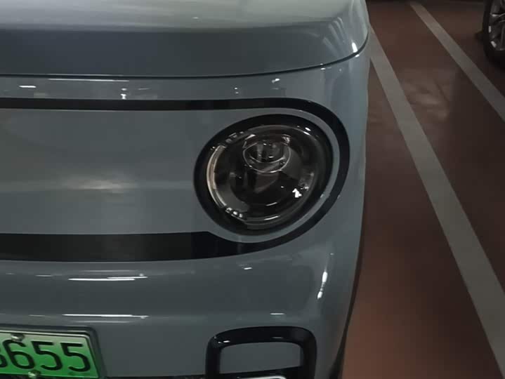 Geely Galaxy Panda Mini 2025 2025款 210km 熊猫卡丁