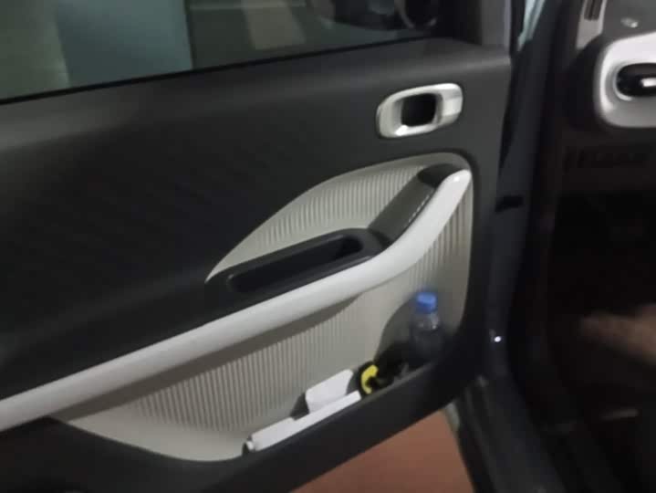 Geely Galaxy Panda Mini 2025 2025款 210km 熊猫卡丁