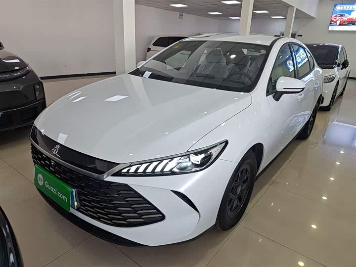 BYD Qin Plus 2025 2025款 DM-i 智驾版 55KM领先型