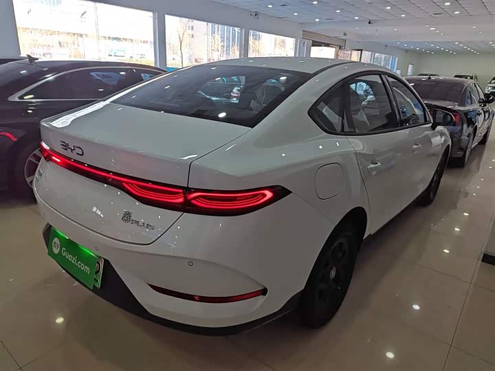 BYD Qin Plus 2025 2025款 DM-i 智驾版 55KM领先型