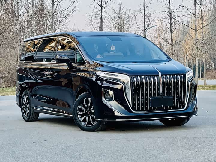 Hongqi HQ9 2023 2023款 2.0T 智联旗悦版
